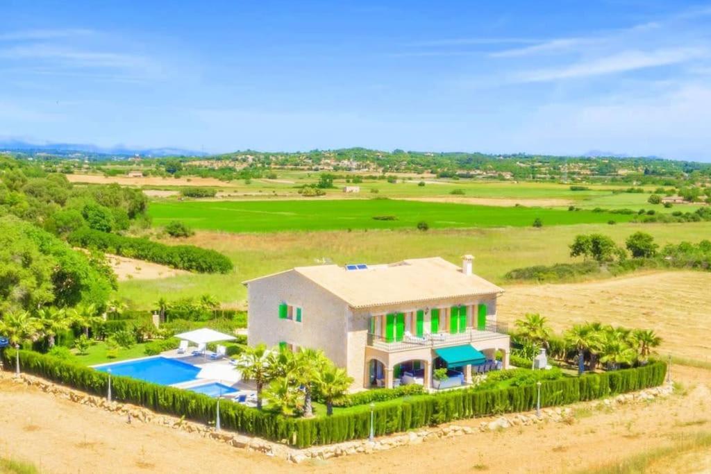 Palmeral In Petra Villa Petra (Mallorca)