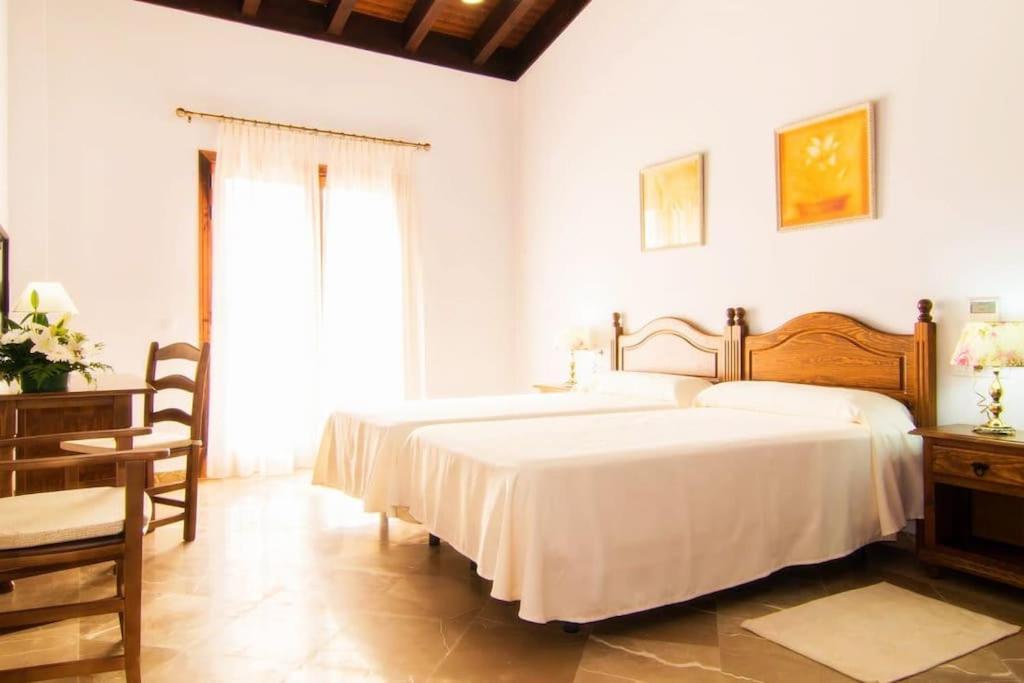 Villa Palmeral In Petra