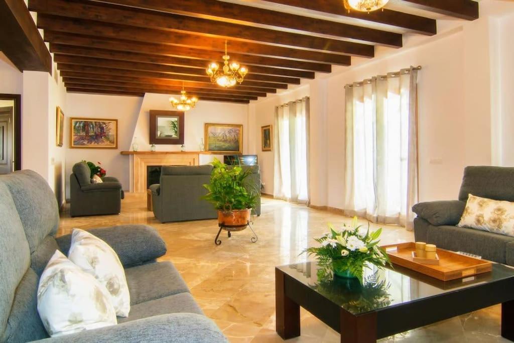Villa Palmeral In Petra *
